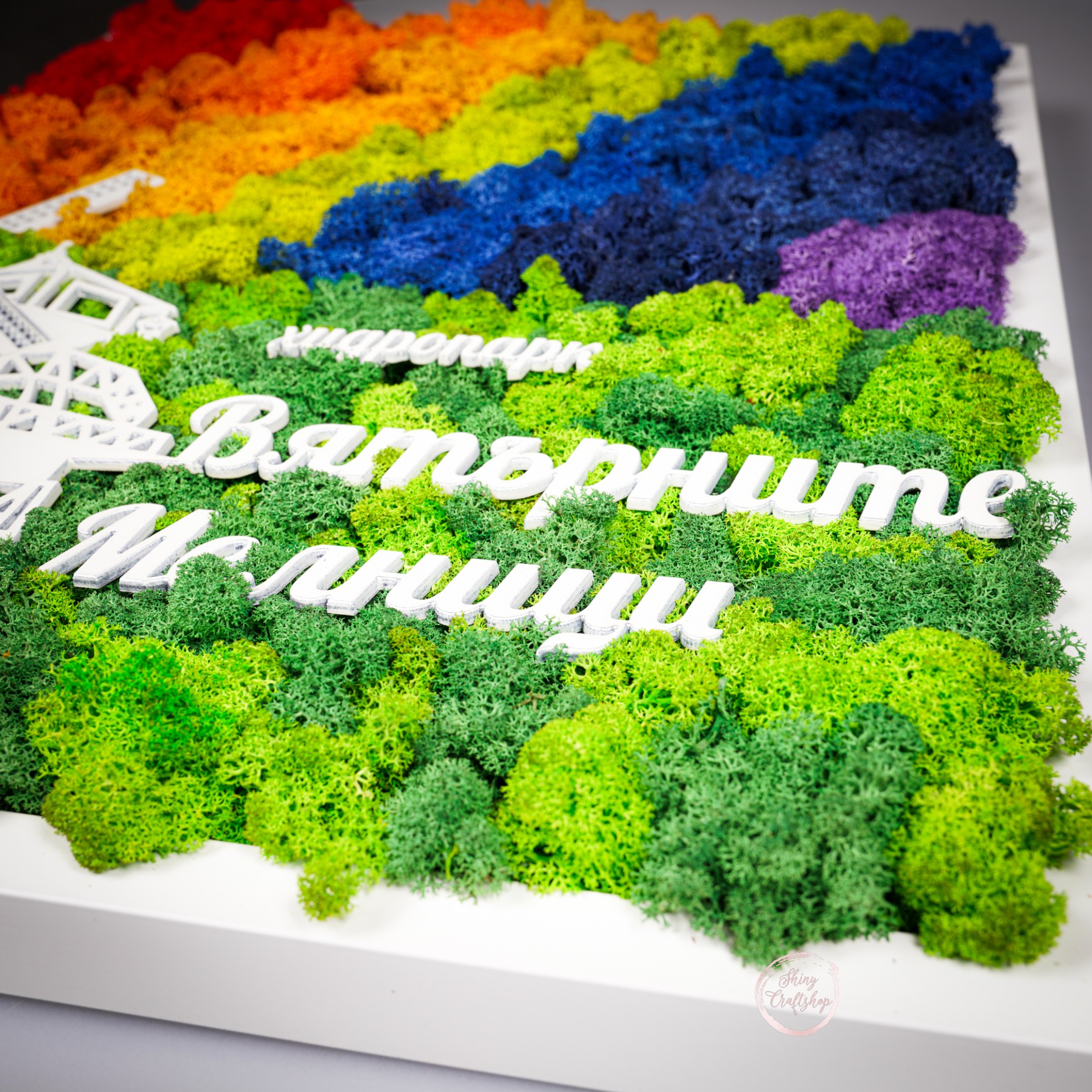 DSC03116.jpg